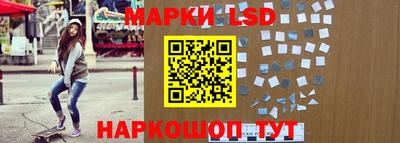 шишки Будённовск