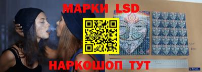 шишки Будённовск
