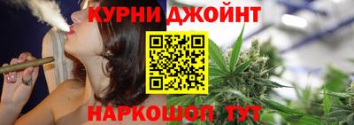 шишки Будённовск