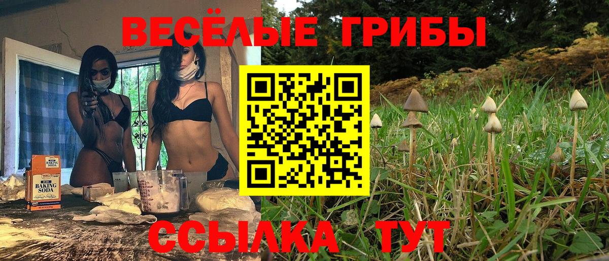 Галлюциногенные грибы ЛСД Котельники